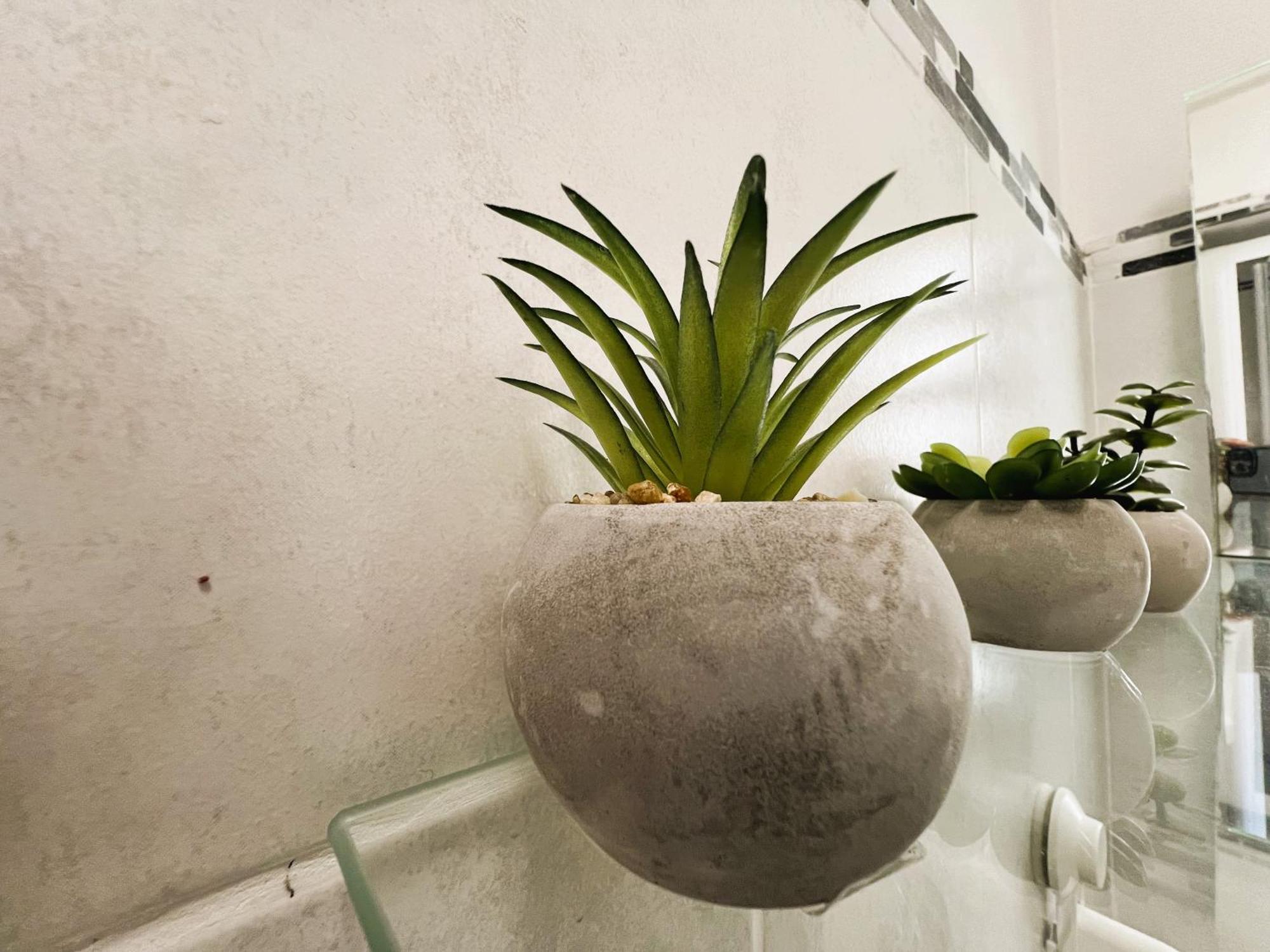 Appartement Nid Douillet Mers-les-Bains Bagian luar foto